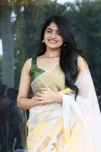 Operation Raavan Movie Actress Sangeerthana Vipin Saree Photos