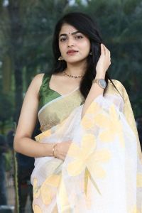 Operation Raavan Movie Actress Sangeerthana Vipin Saree Photos