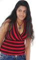 Tamil Actress Sangeeth Hot Pics