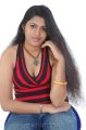Tamil Actress Sangeeth Hot Pics