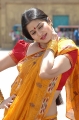 Dhanam Movie Actress Sangeetha Hot Saree Pics