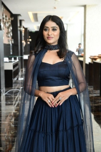 777 Charlie Movie Actress Sangeetha Sringeri Photos