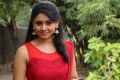 Actress Geetha @ Sangu Chakkaram Movie Press Meet Stills