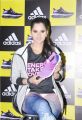 Sania Mirza launches Adidas 'Ultra Boost' running shoe Photos