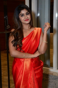 Actress Sanjana Anand Pictures @ Nenu Meeku Baaga Kavalsinavaadini Pre Release