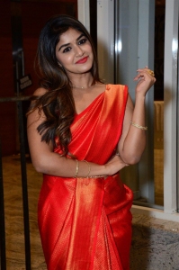 Actress Sanjana Anand Pictures @ Nenu Meeku Baaga Kavalsinavaadini Pre Release