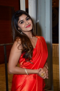 Actress Sanjana Anand Pictures @ Nenu Meeku Baaga Kavalsinavaadini Pre Release