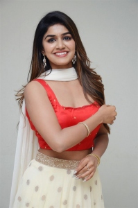 Nenu Meeku Baga Kavalsinavadini Heroine Sanjana Anand Stills