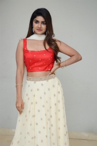 Nenu Meeku Baga Kavalsinavadini Heroine Sanjana Anand Stills