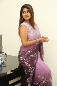 Nenu Meeku Bagakavalasinavadini Actress Sanjana Anand Saree Pics
