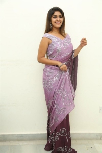 Actress Sanjana Anand Saree Pics @ Nenu Meeku Bagakavalasinavadini Interview