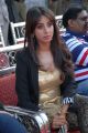 Actress Sanjana Hot Photos at Crescent Cricket Cup 2012