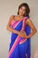 Telugu Actress Sanjana Galrani Hot in Blue Saree Stills