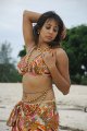 Sanjana Galrani Hot Pics