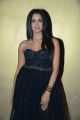 Actress Sanjana Galrani Pictures @ Guna 369 Pre Release