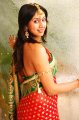 Sanjana Galrani In Saree Diwali Look