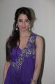Sanjjanaa Archana Galrani Hot Pictures in Dark Violet Long Dress