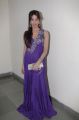 Actress Sanjana Galrani Hot Pictures in Dark Violet Long Dress
