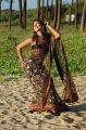 Sanjana Hot Saree New Stills
