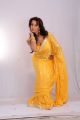 Sanjana Hot Stills in Yellow Saree