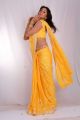 Sanjana Hot Stills in Yellow Saree
