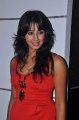 Sanjana Hot Photo Shoot Pics