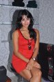 Sanjana Hot Photo Shoot Pics