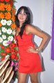 Sanjana Hot Photo Shoot Pics