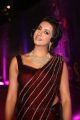 Actress Sanjana Galrani Stills @ Zee Telugu Apsara Awards 2018 Red Carpet