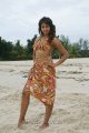 Sanjana New Hot Images Gallery