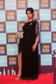 Actress Sanjana Photos @ SIIMA Awards 2018 Red Carpet (Day 1)