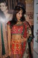 Telugu Actress Sanjana in Saree Hot Pics