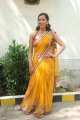 Sanjana Singh Hot in Saree Pics