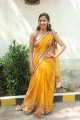 Sanjana Singh Hot in Saree Pics