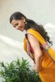 Sanjana Singh Hot in Saree Pics