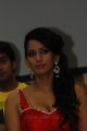 Sanjana Singh Hot in Yaarukku Theriyum Audio Launch
