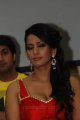 Sanjana Singh Hot in Yaarukku Theriyum Audio Launch