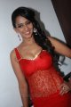 Sanjana Singh Hot Spicy Photos Gallery