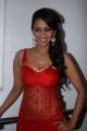 Sanjana Singh Hot Photo Shoot Stills