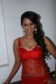 Sanjana Singh Hot Spicy Photos Gallery