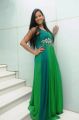 Actress Sanjana Singh Hot Stills in Long Green Dress