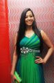 Actress Sanjana Singh Hot Stills in Long Green Dress