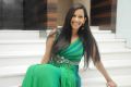 Tamil Actress Sanjana Singh Hot Stills in Long Green Dress