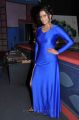 Sanjana Singh Hot Images in Tight Blue Dress