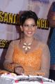 Actress Sanjana Singh 2014 Birthday Celebrations Stills