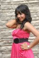 Sanjjanaa Archana Galrani Hot Pics