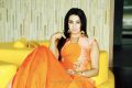 Actress Sanjjanaa Archana Galrani Latest Photoshoot Stills
