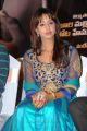 Telugu Actress Sanjjanaa Archana Galrani Photos