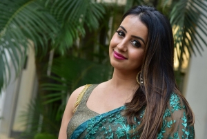 Manishankar Heroine  Sanjjanaa Galrani Saree Stills