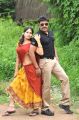 Sanyathara, Harikumar in Sankarapuram Tamil Movie Stills
